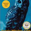 Owl Light